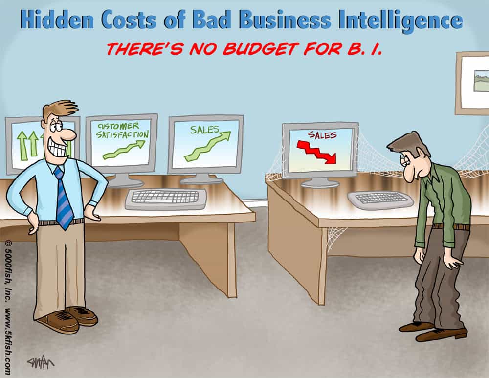One: You Lack A Business Intelligence Budget